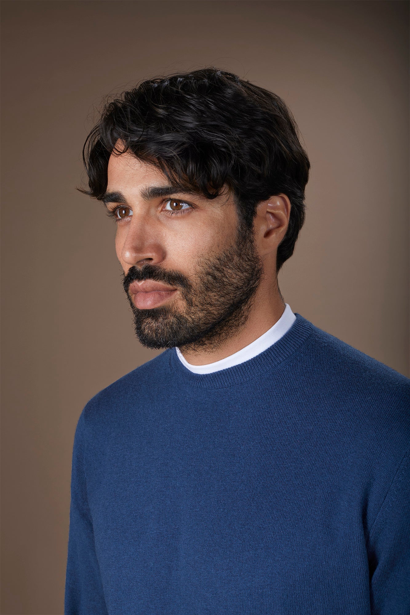 Men's regular fit crew neck jumper in wool and cotton