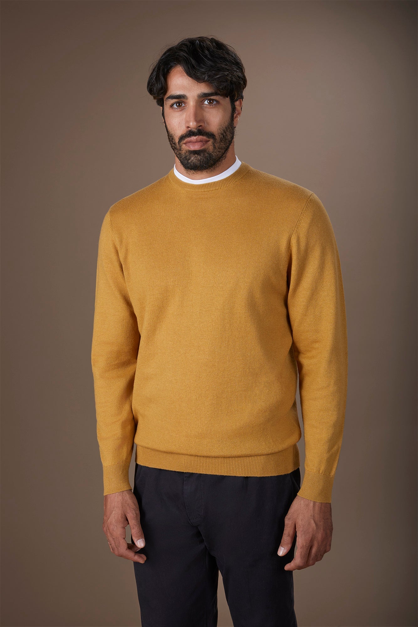 Men's regular fit crew neck jumper in wool and cotton