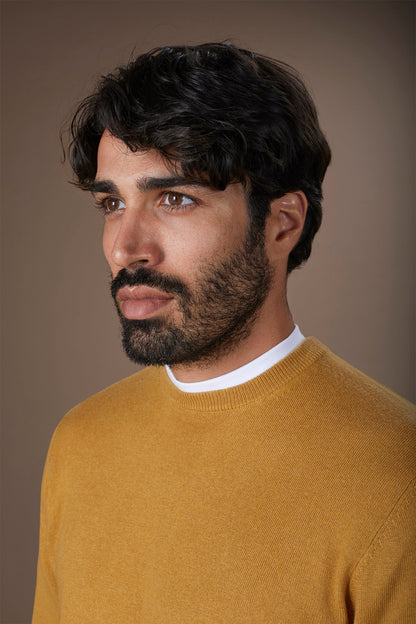 Men's regular fit crew neck jumper in wool and cotton