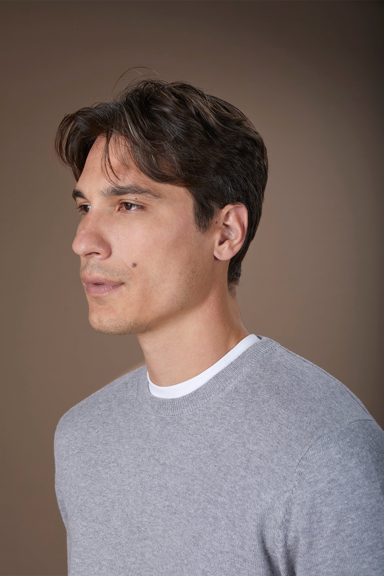 Men's regular fit crew neck jumper in wool and cotton