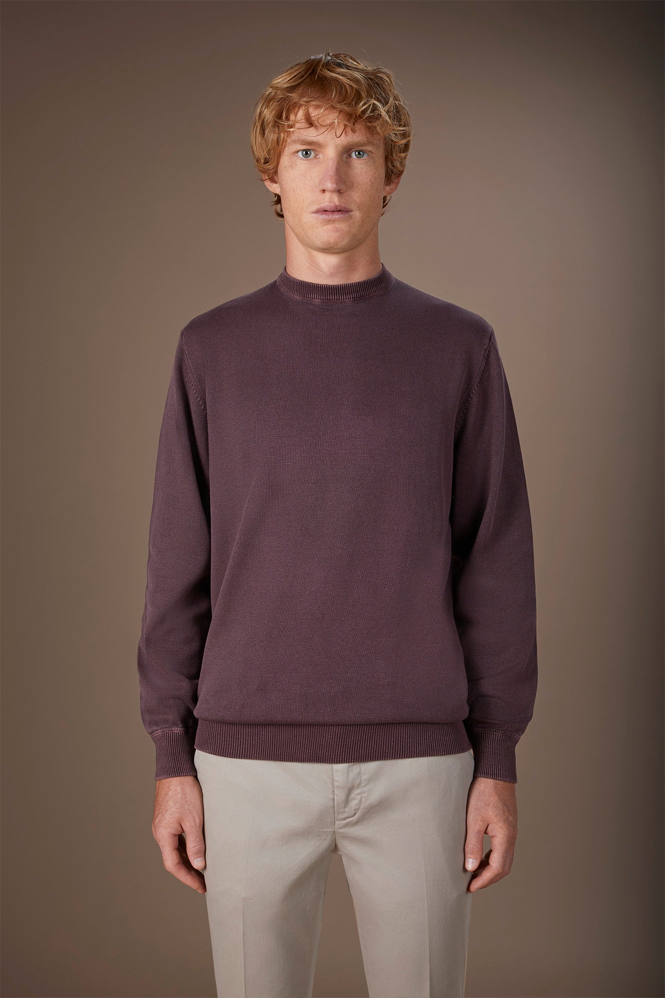 Men's regular fit crew neck jumper in 100% cotton