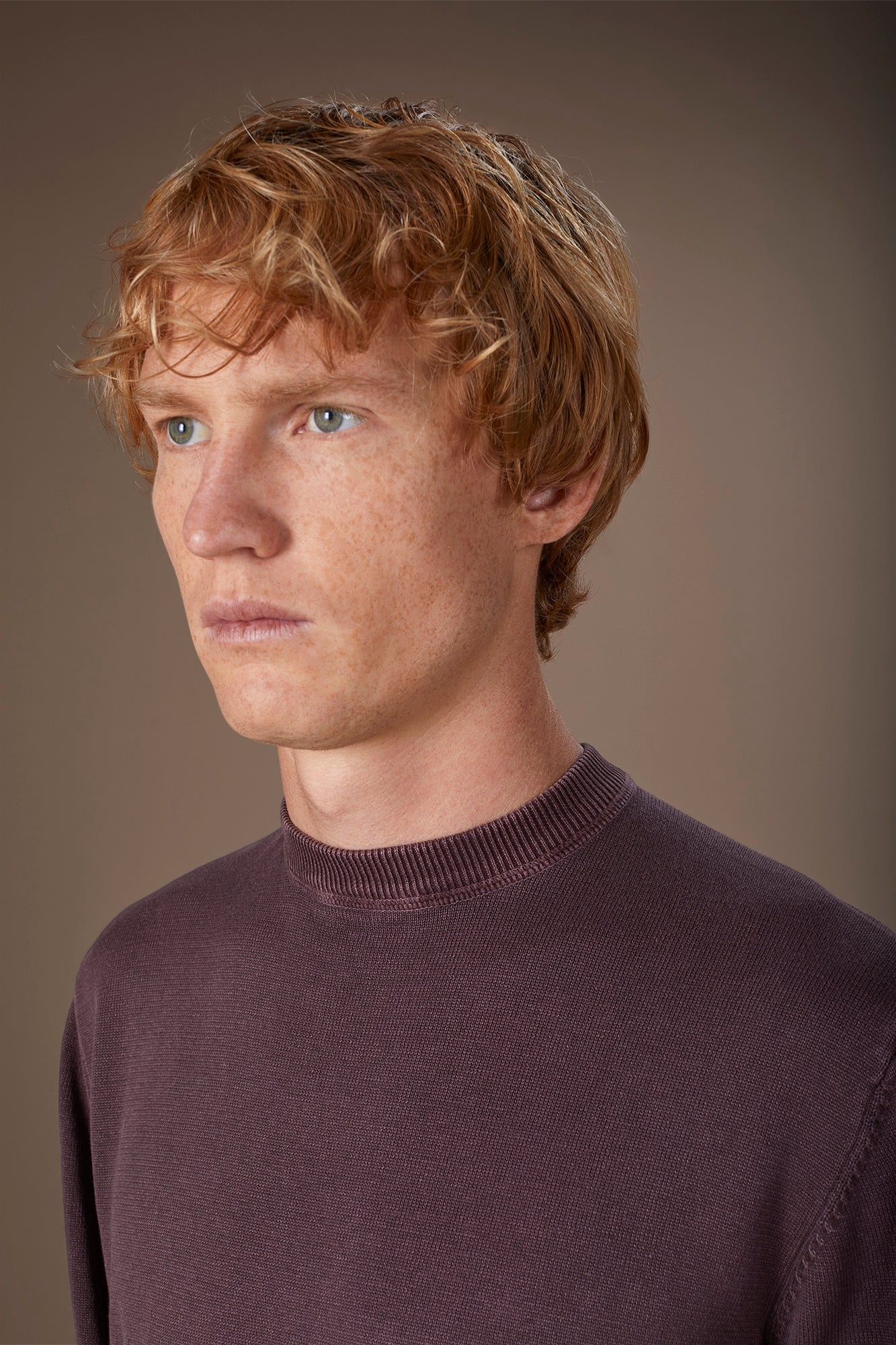 Men's regular fit crew neck jumper in 100% cotton