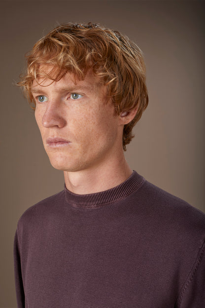 Men's regular fit crew neck jumper in 100% cotton