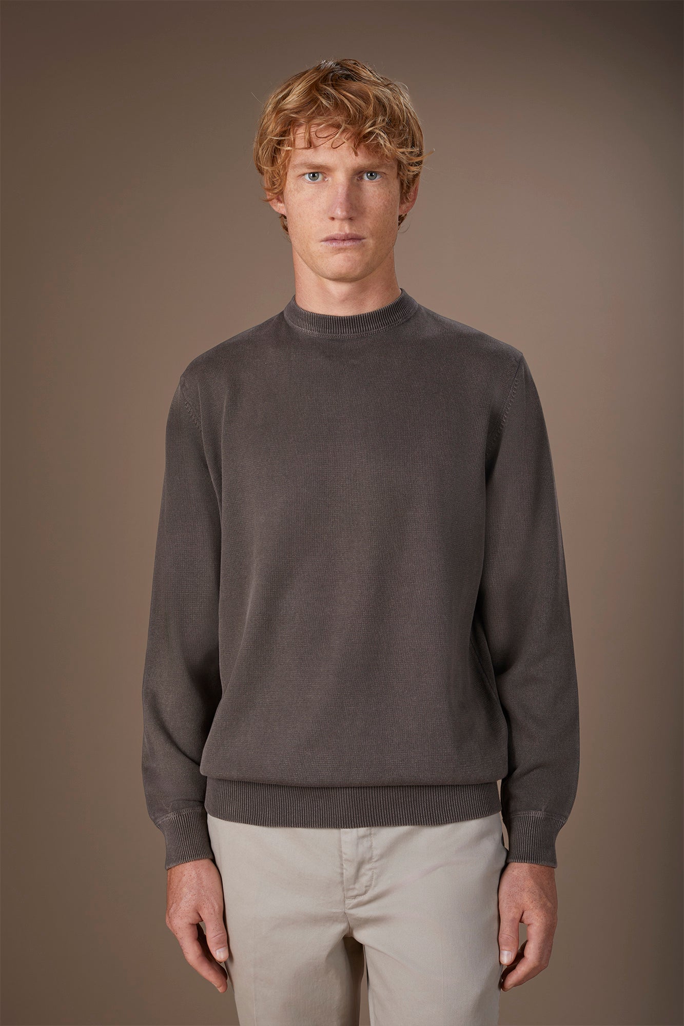 Men's regular fit crew neck jumper in 100% cotton