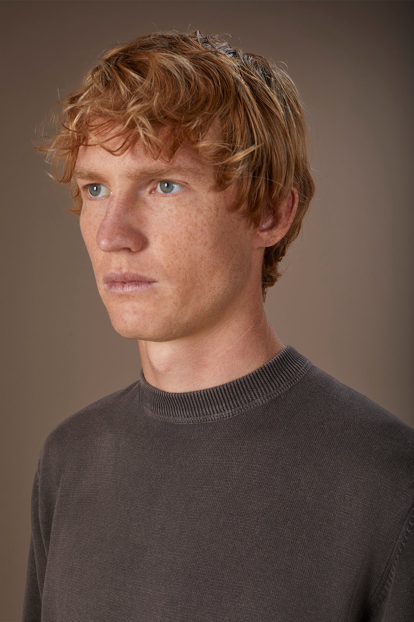 Men's regular fit crew neck jumper in 100% cotton