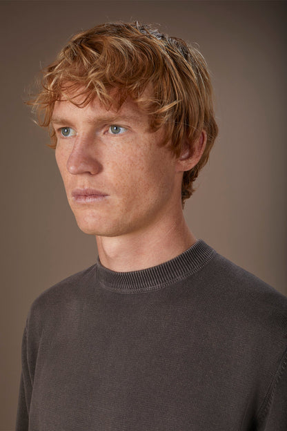 Men's regular fit crew neck jumper in 100% cotton