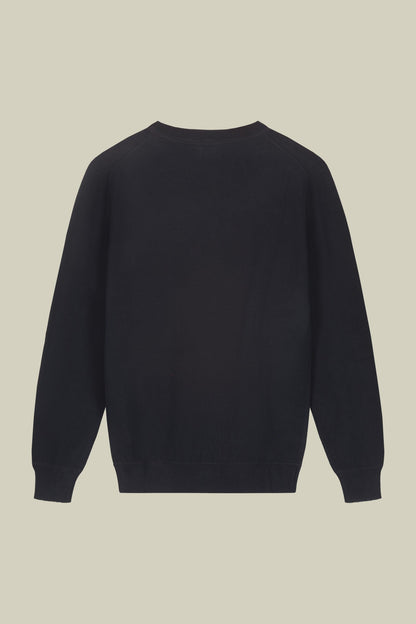 Men's regular fit crew neck jumper in 100% cotton
