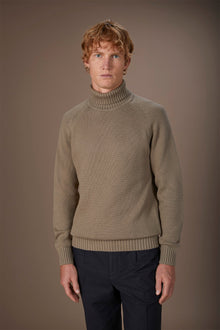 Men's 100% cotton regular fit turtleneck jumper