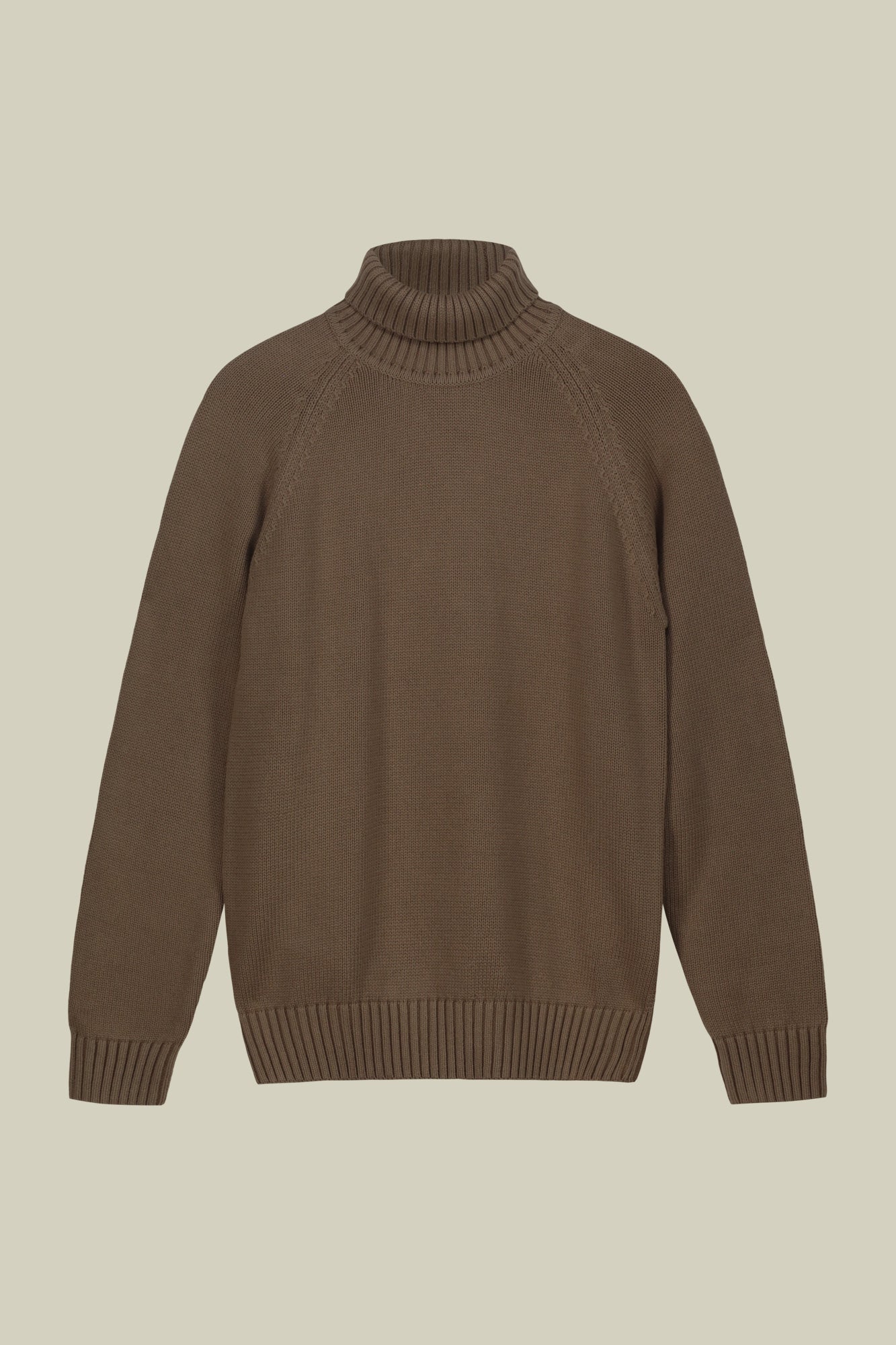 Men's 100% cotton regular fit turtleneck jumper