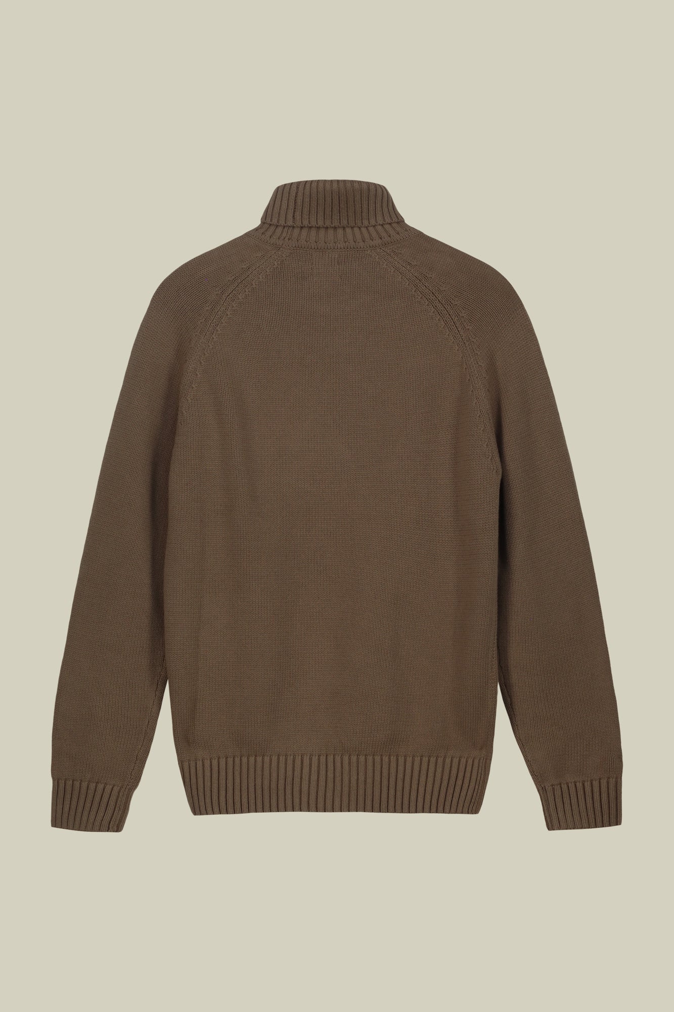 Men's 100% cotton regular fit turtleneck jumper