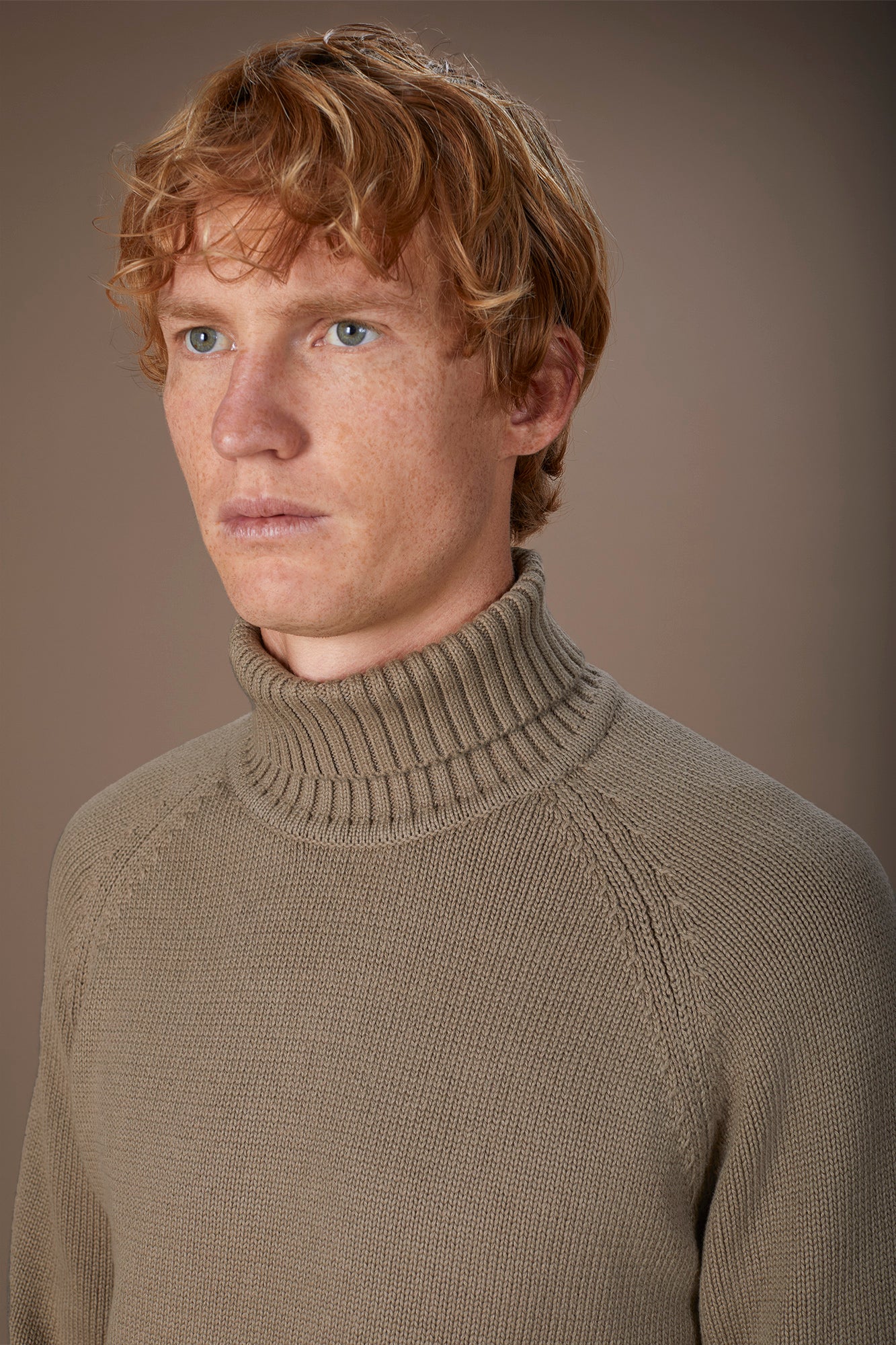 Men's 100% cotton regular fit turtleneck jumper