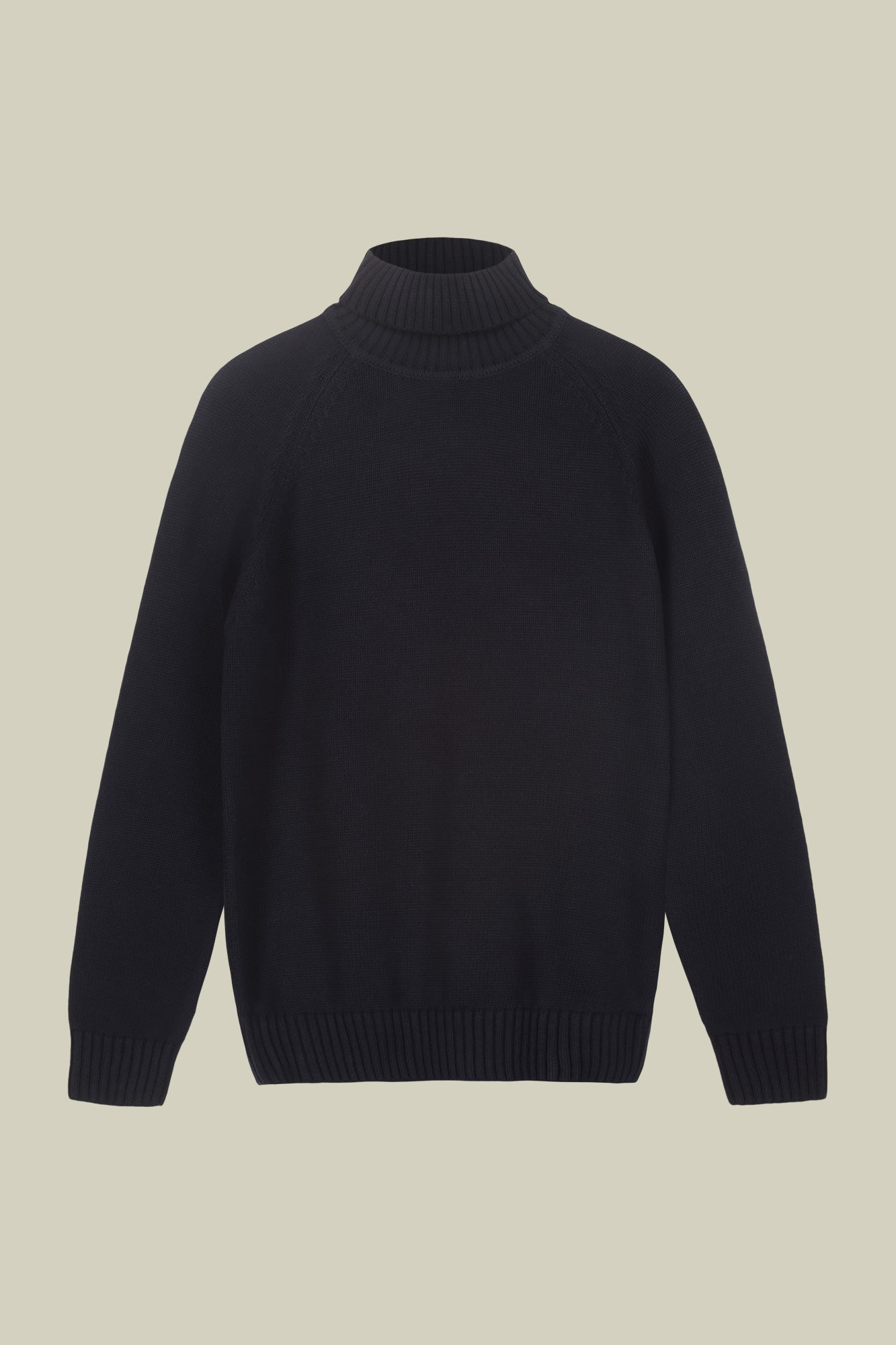 Men's 100% cotton regular fit turtleneck jumper