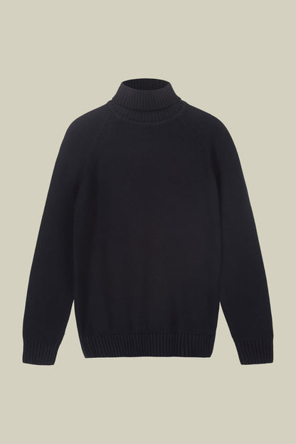 Men's 100% cotton regular fit turtleneck jumper