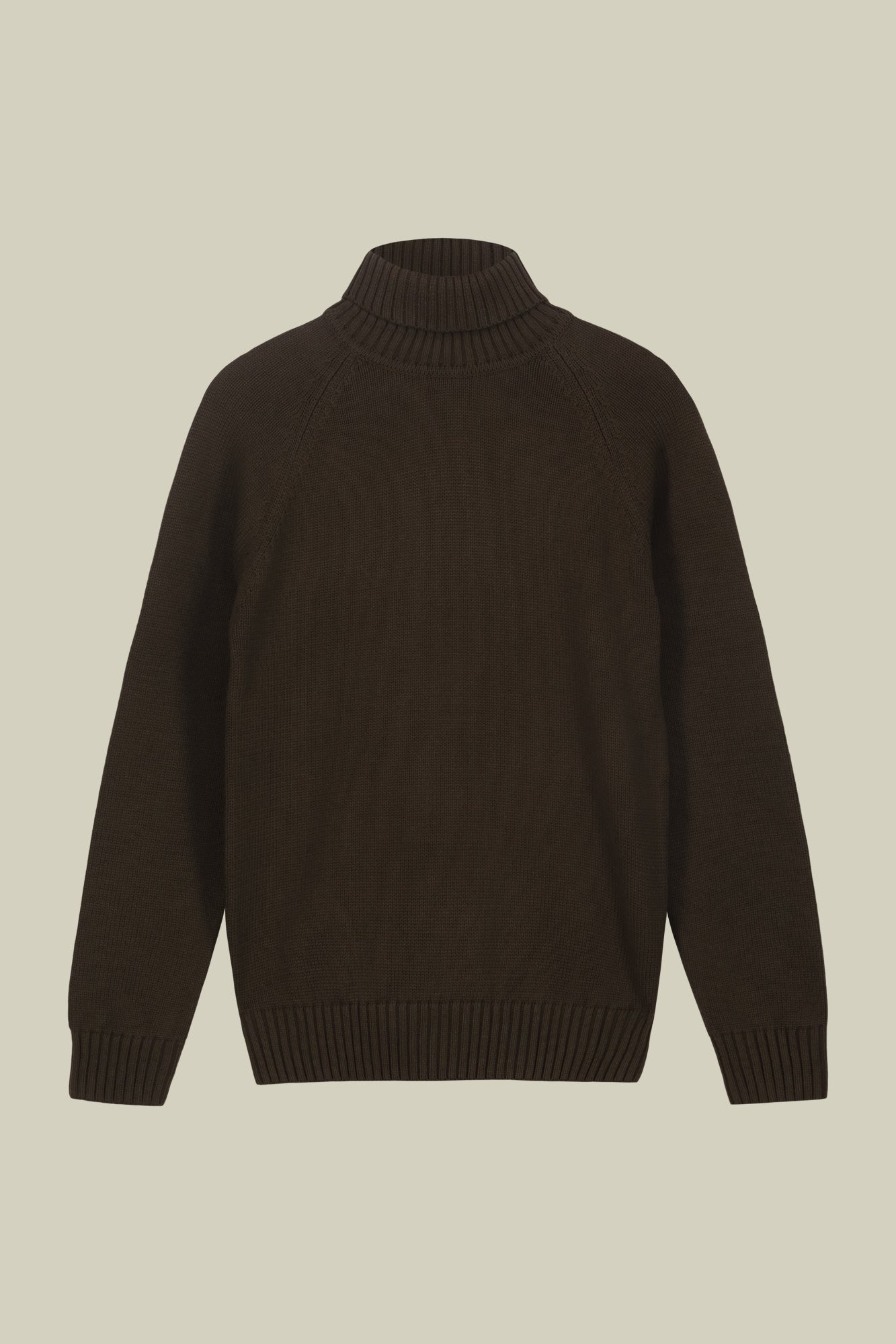 Men's 100% cotton regular fit turtleneck jumper