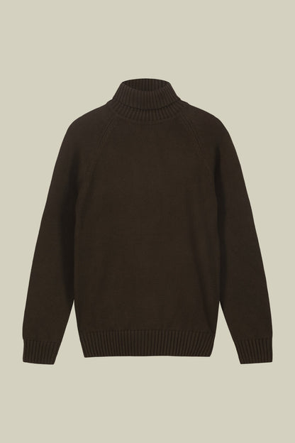 Men's 100% cotton regular fit turtleneck jumper