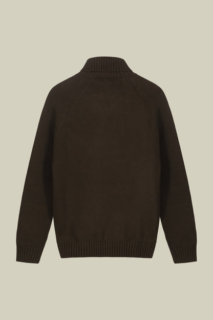Men's 100% cotton regular fit turtleneck jumper