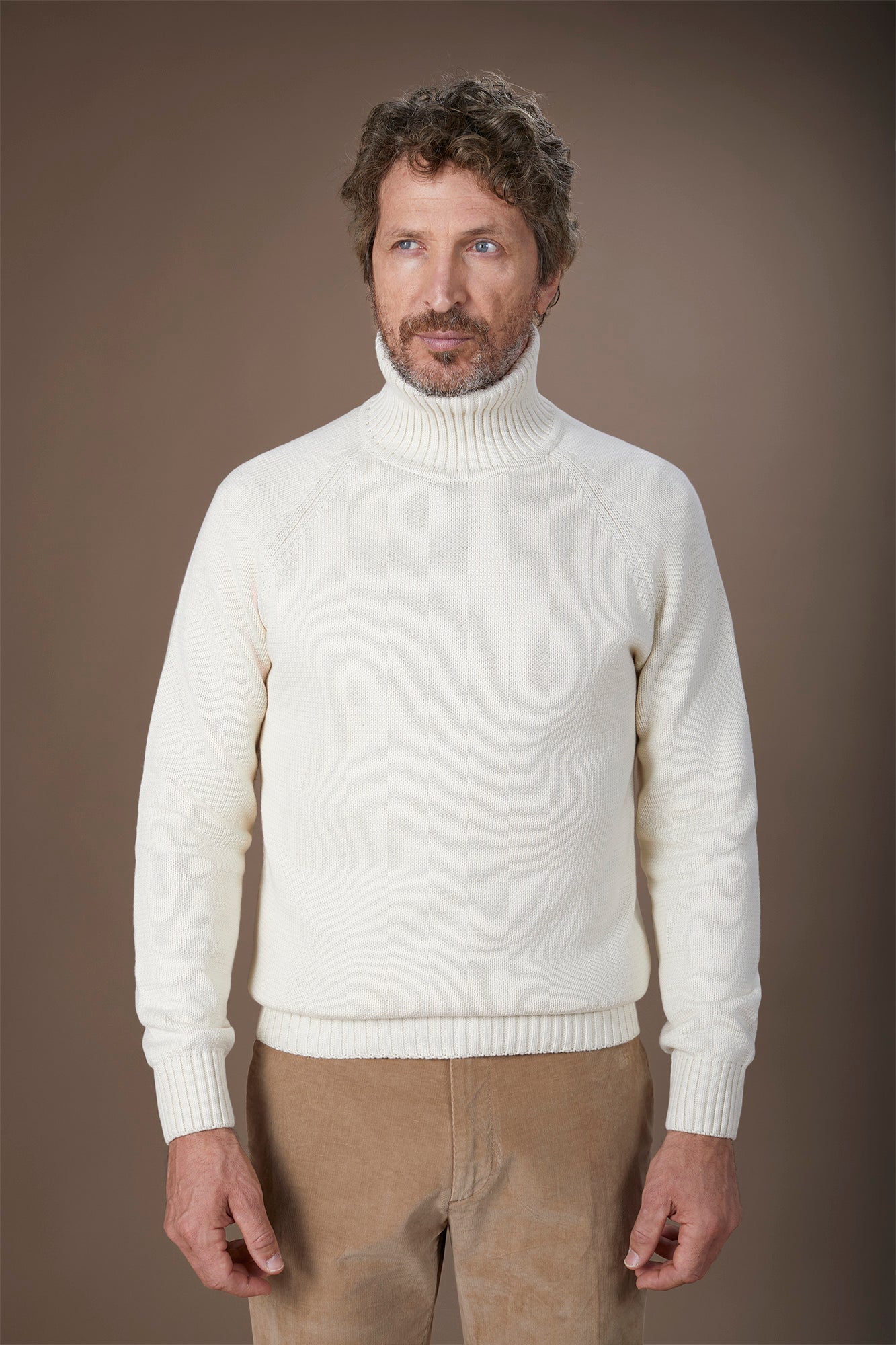 Men's 100% cotton regular fit turtleneck jumper