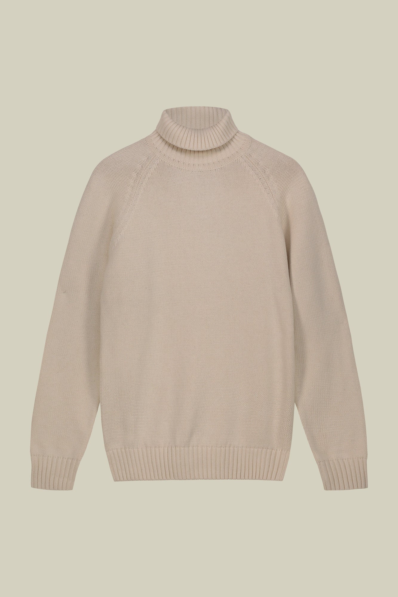 Men's 100% cotton regular fit turtleneck jumper
