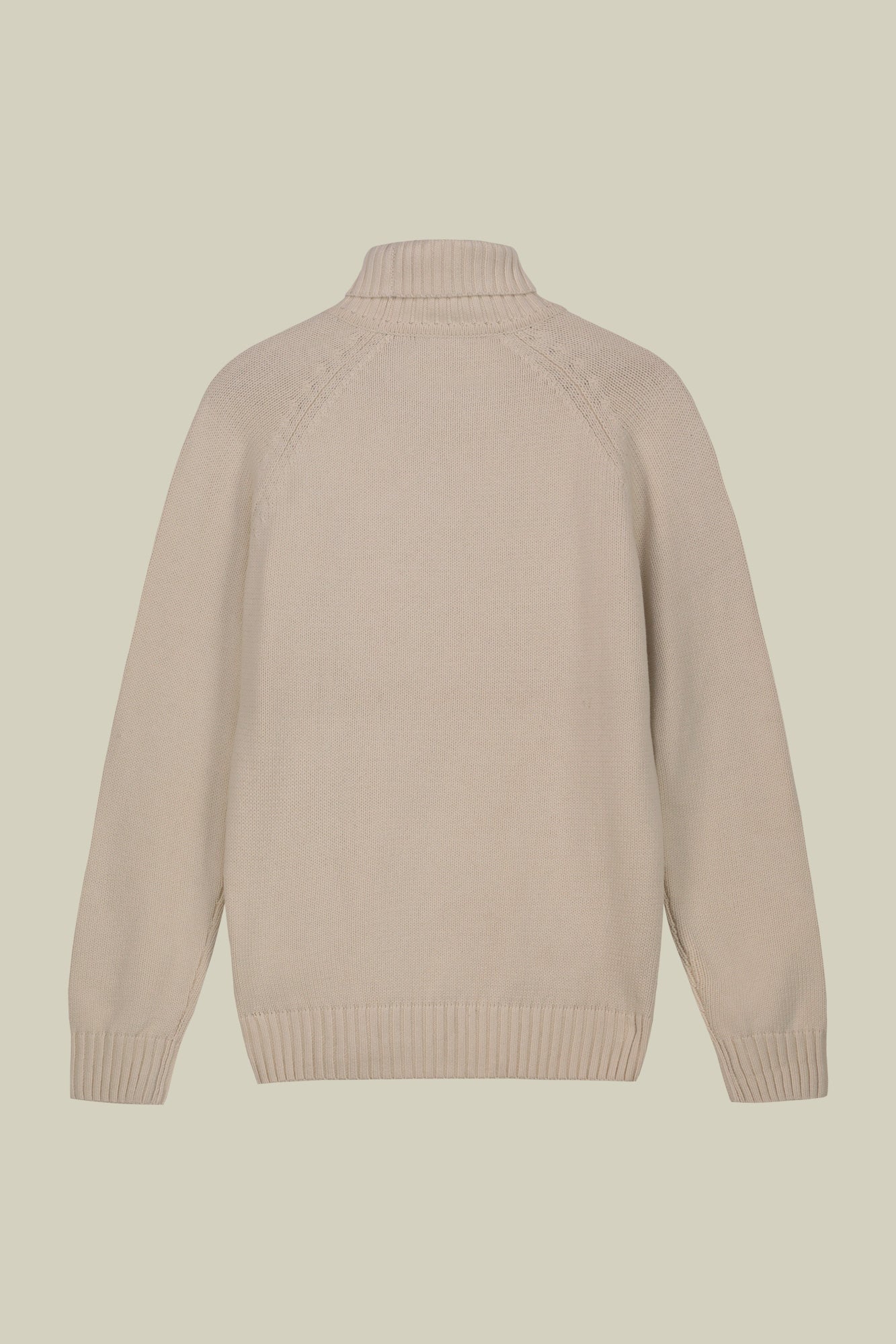 Men's 100% cotton regular fit turtleneck jumper