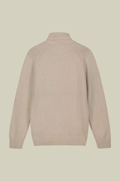 Men's 100% cotton regular fit turtleneck jumper