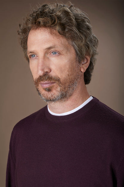 Men's regular fit crew neck jumper in 100% extra fine merino wool