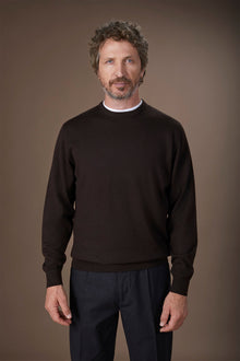 Men's regular fit crew neck jumper in 100% extra fine merino wool