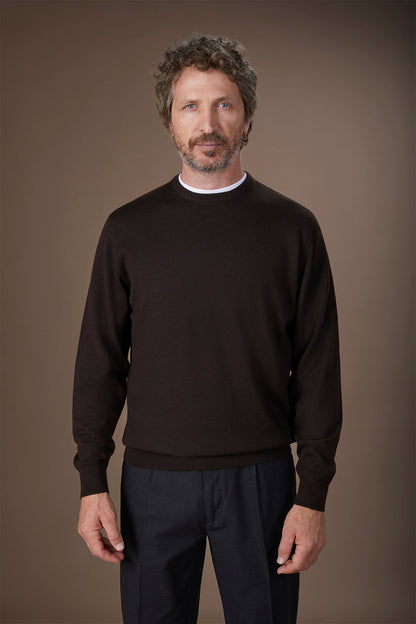 Men's regular fit crew neck jumper in 100% extra fine merino wool
