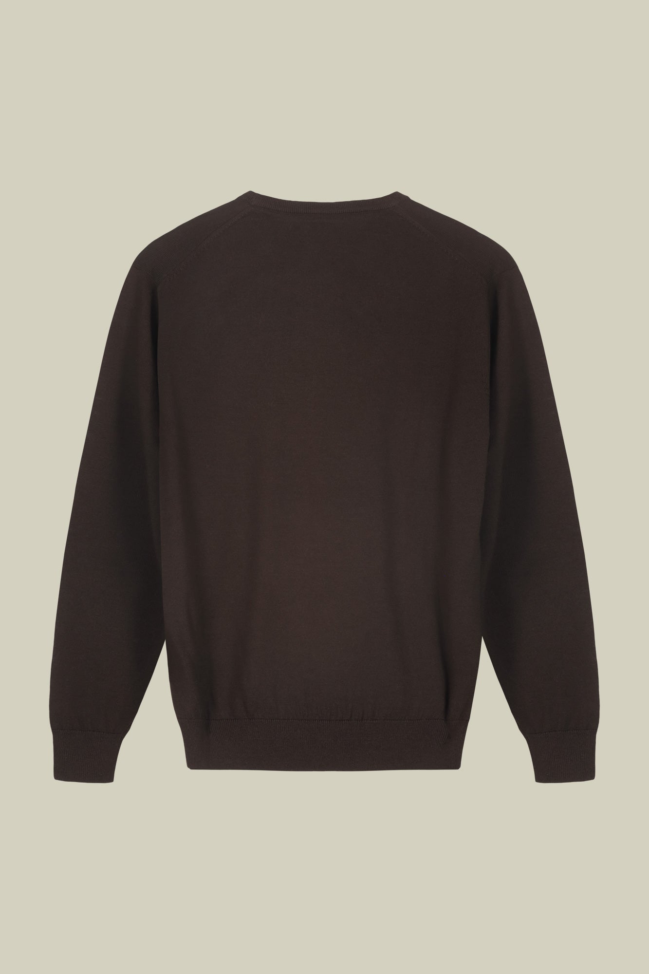 Men's regular fit crew neck jumper in 100% extra fine merino wool