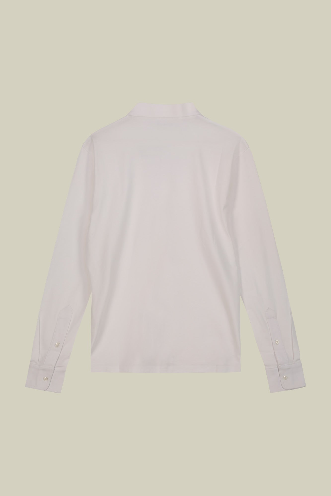 Men's 100% cotton regular fit polo shirt