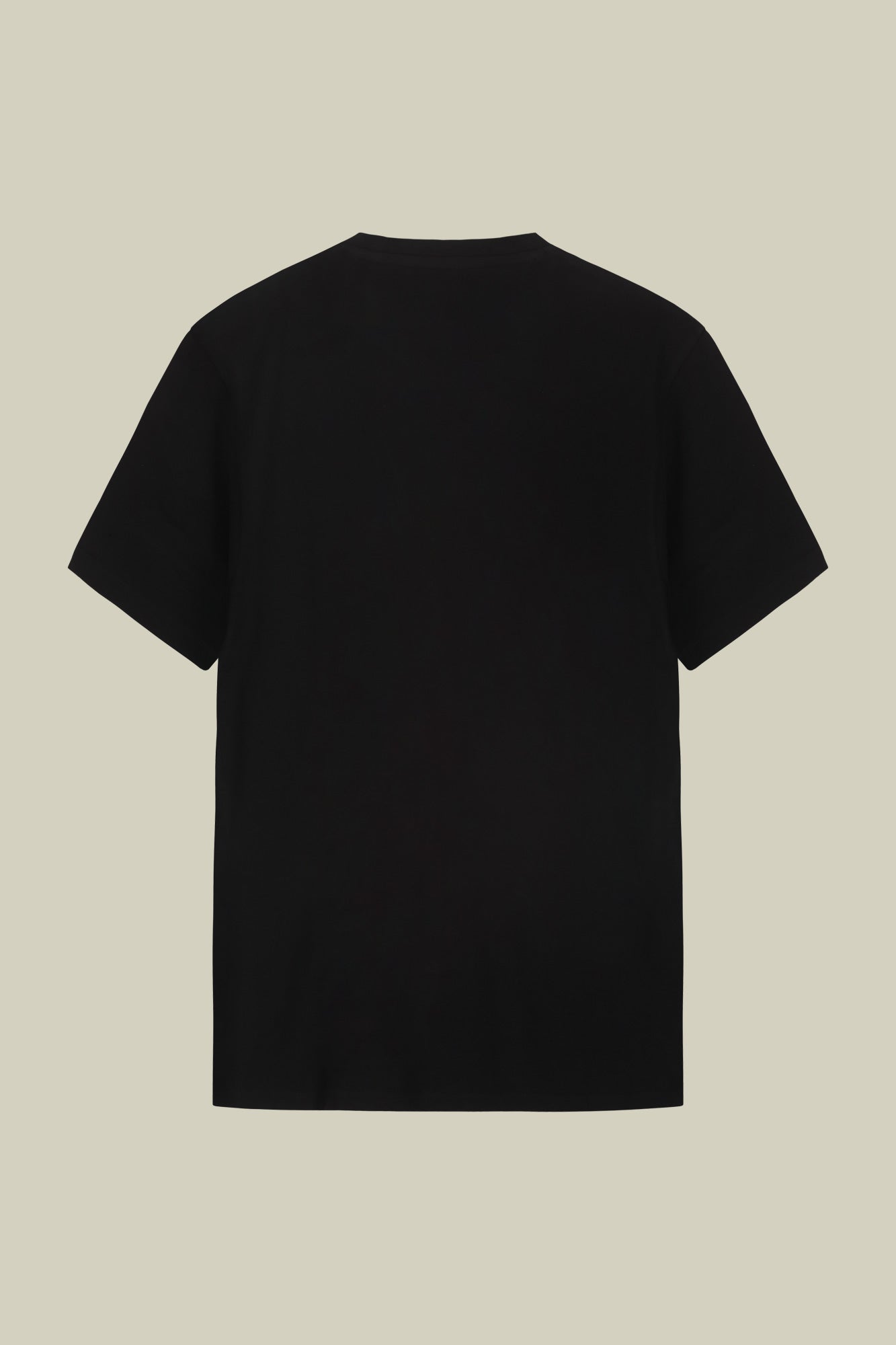 Men's round neck T-shirt in 100% cotton regular fit