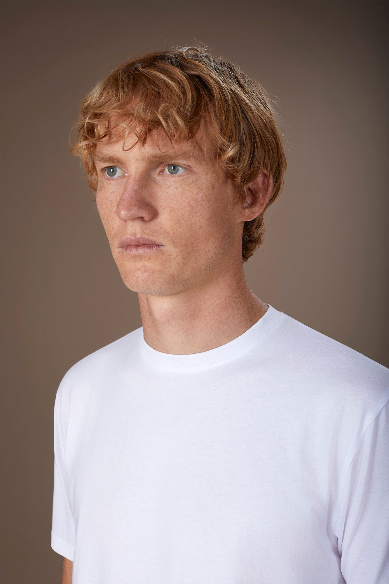 Men's round neck T-shirt in 100% cotton regular fit