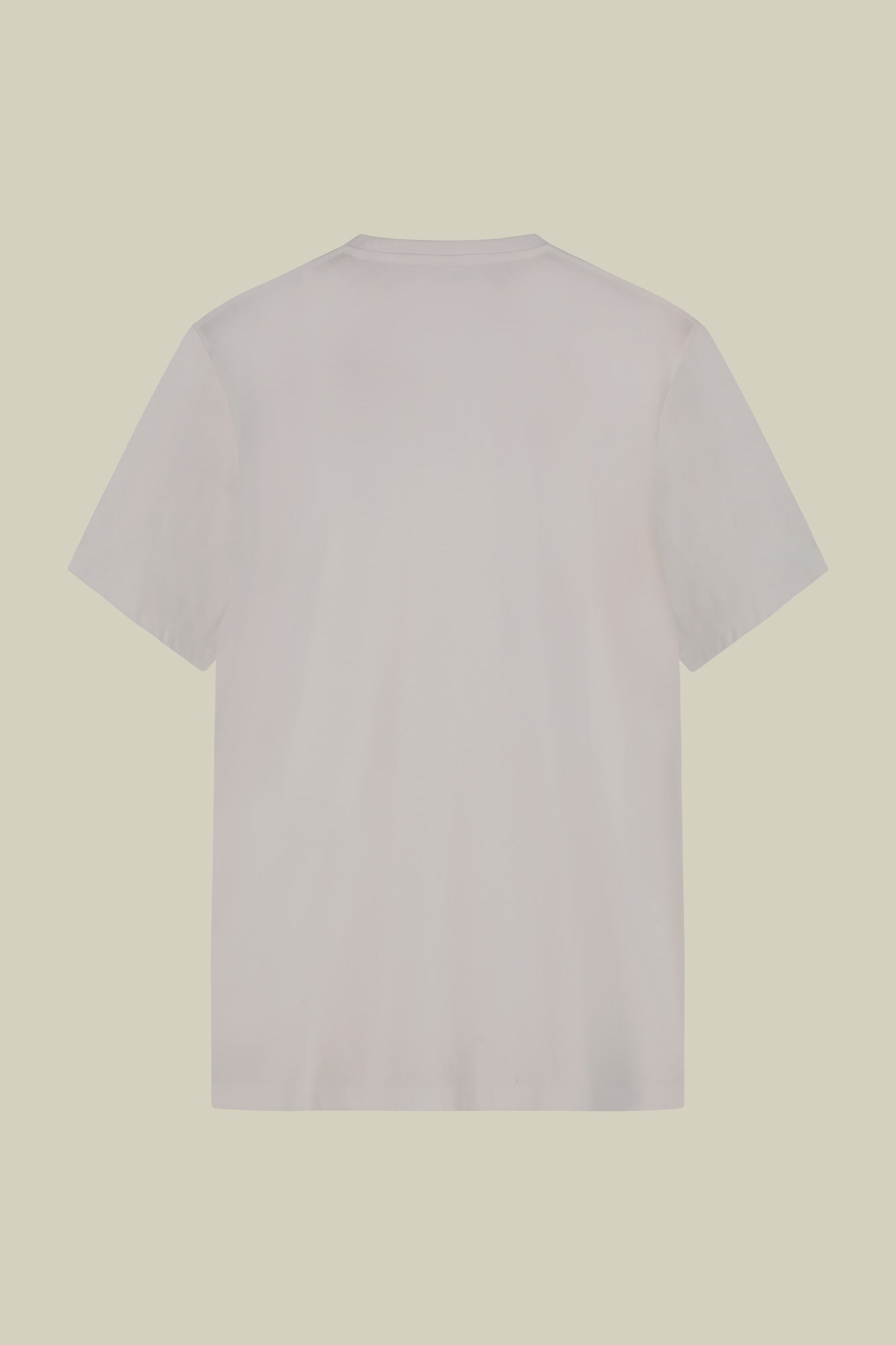 Men's round neck T-shirt in 100% cotton regular fit