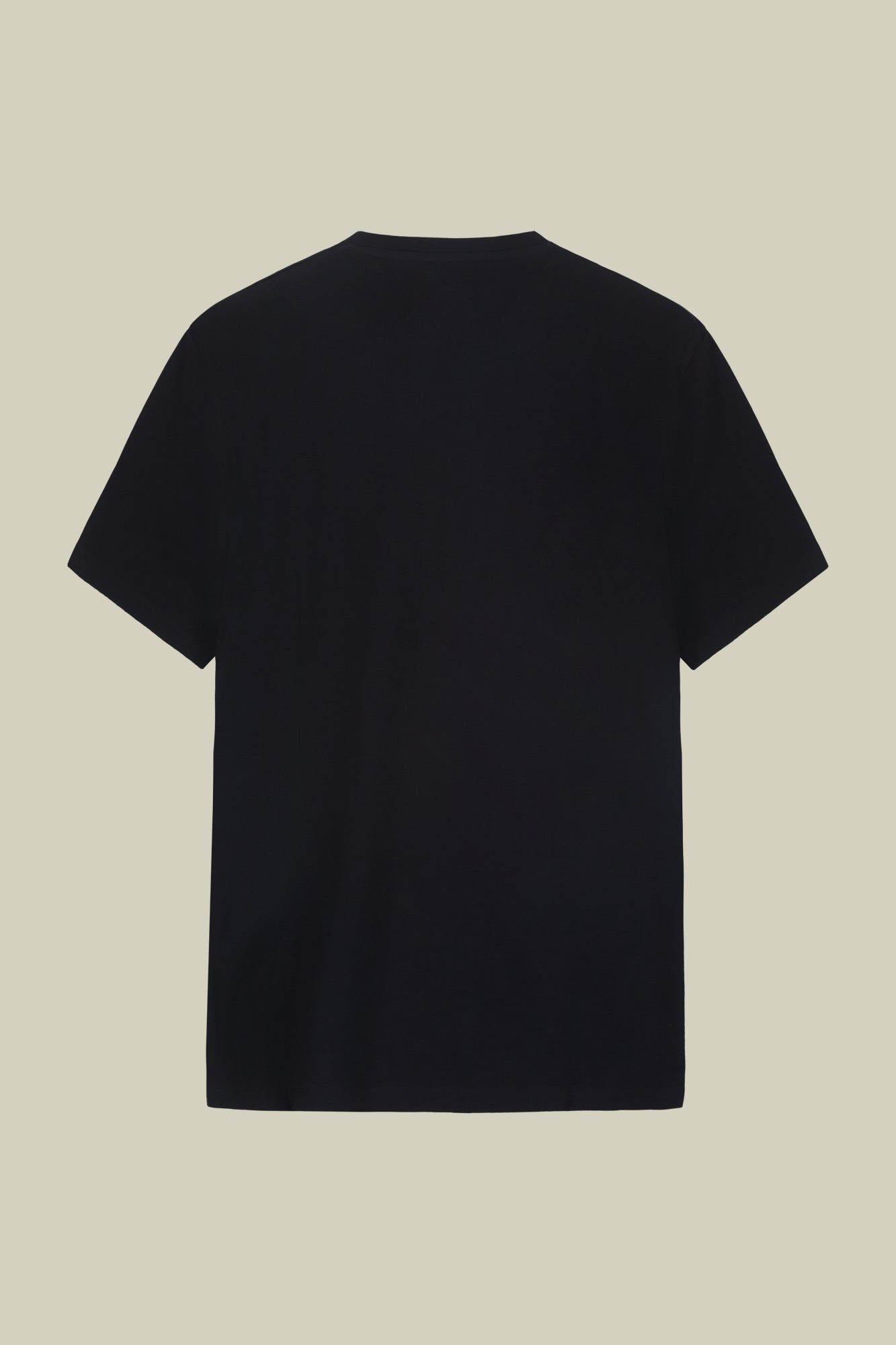Men's round neck T-shirt in 100% cotton regular fit