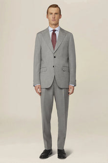 Men's single-breasted suit in grisaille fabric, regular fit