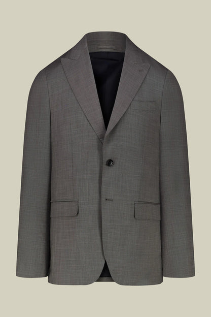 Men's single-breasted suit in grisaille fabric, regular fit