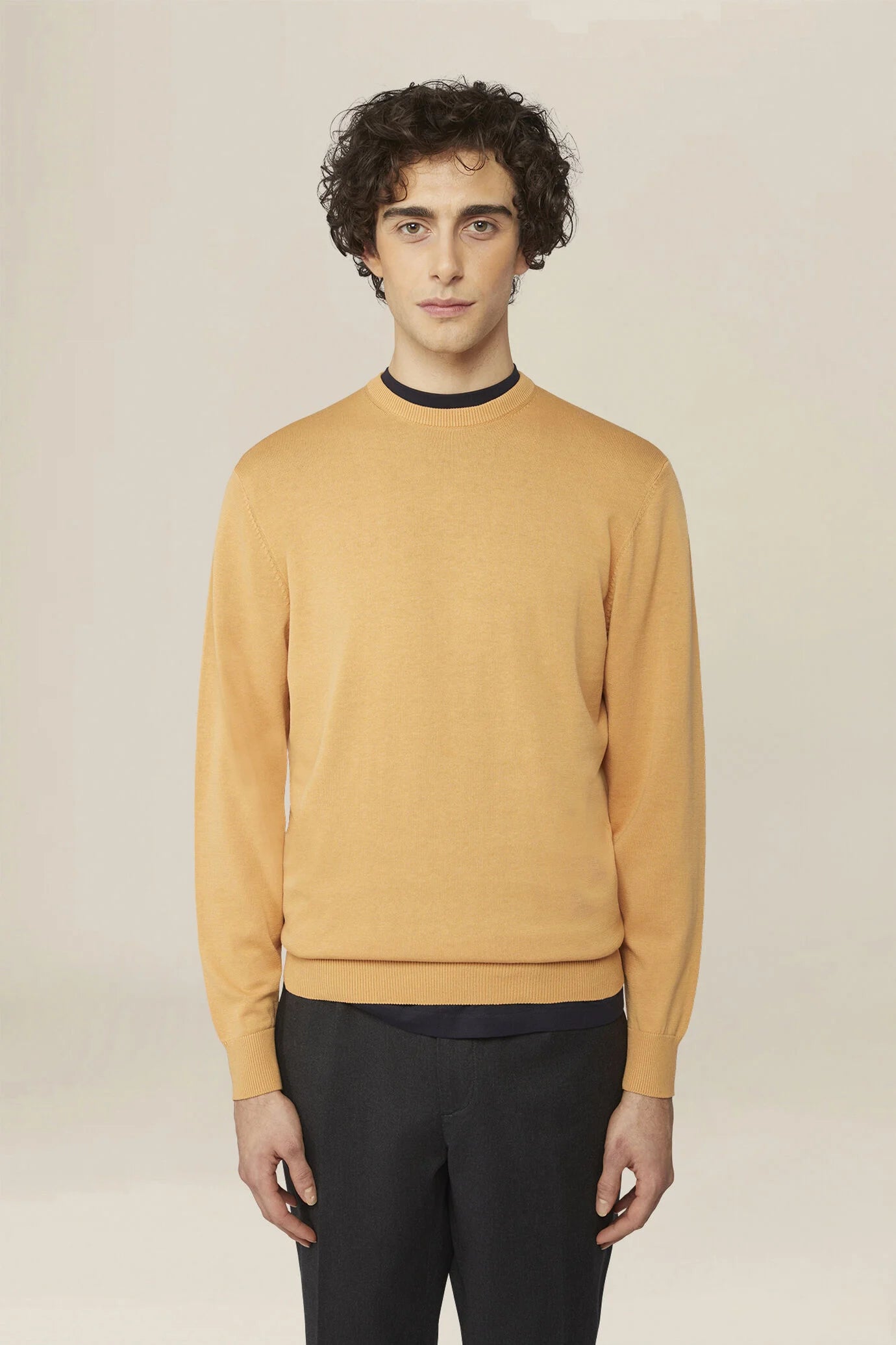 Men's crew neck jumper in 100% cotton