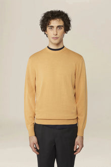 Men's crew neck jumper in 100% cotton