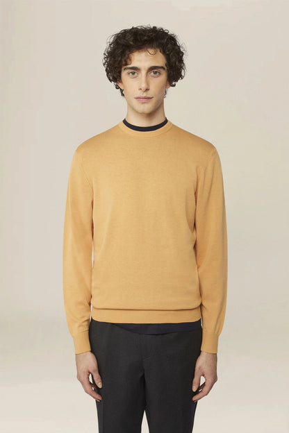 Men's crew neck jumper in 100% cotton