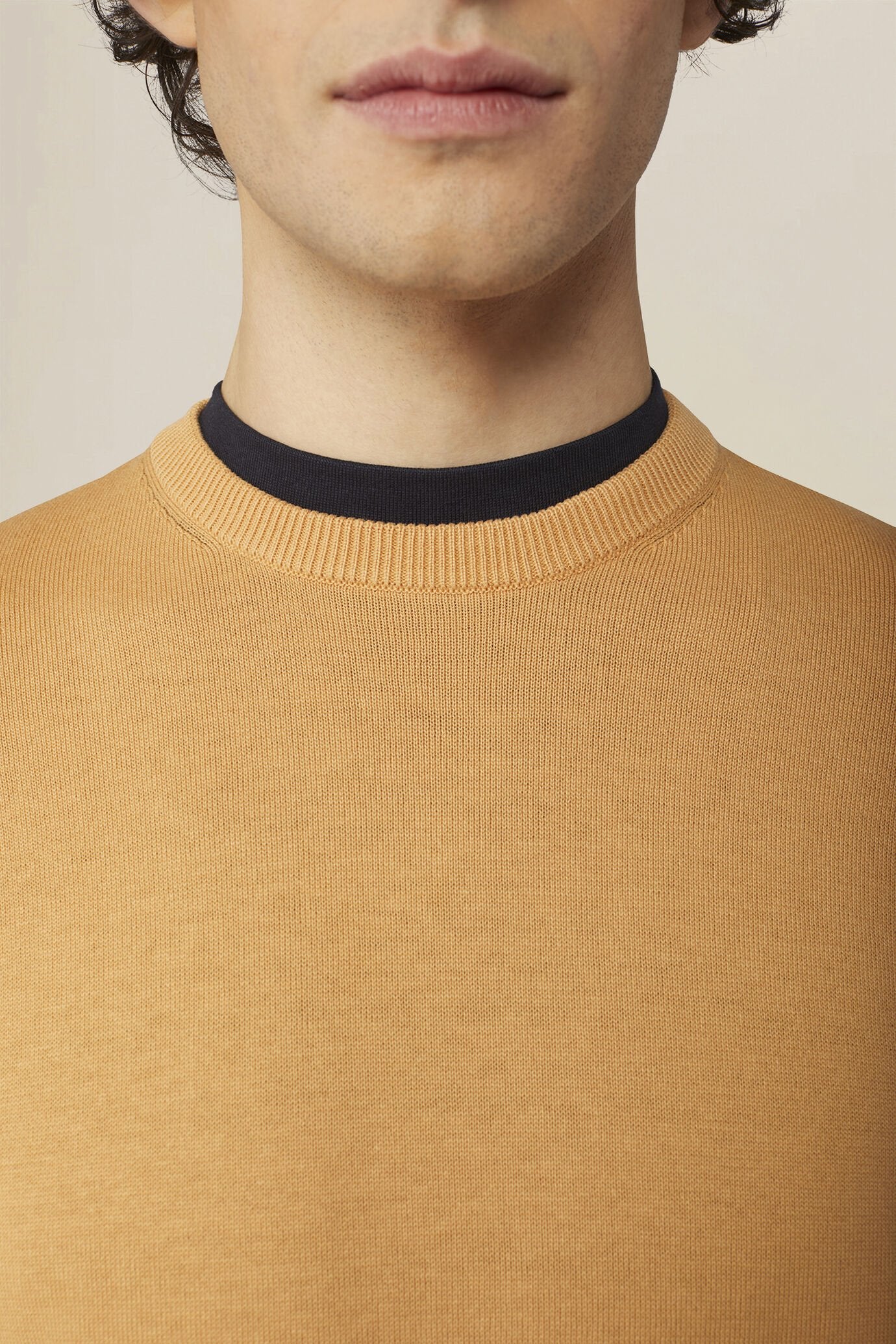 Men's crew neck jumper in 100% cotton
