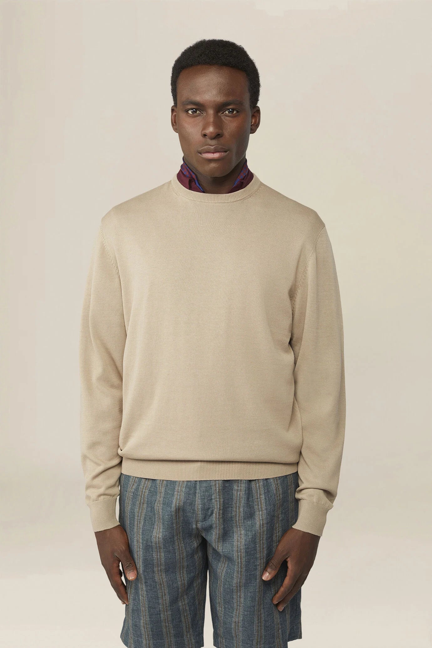 Men's crew neck jumper in 100% cotton