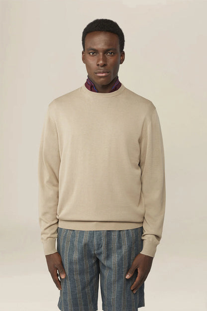 Men's crew neck jumper in 100% cotton
