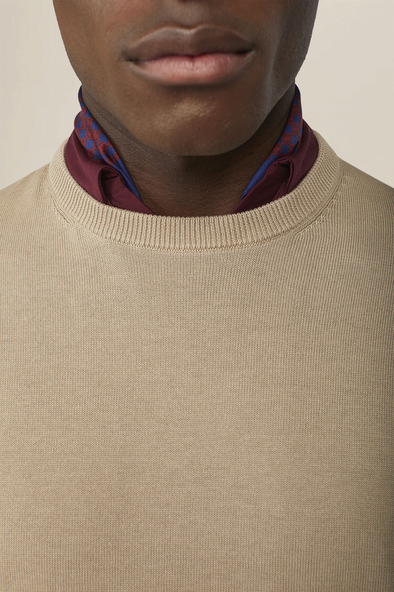 Men's crew neck jumper in 100% cotton