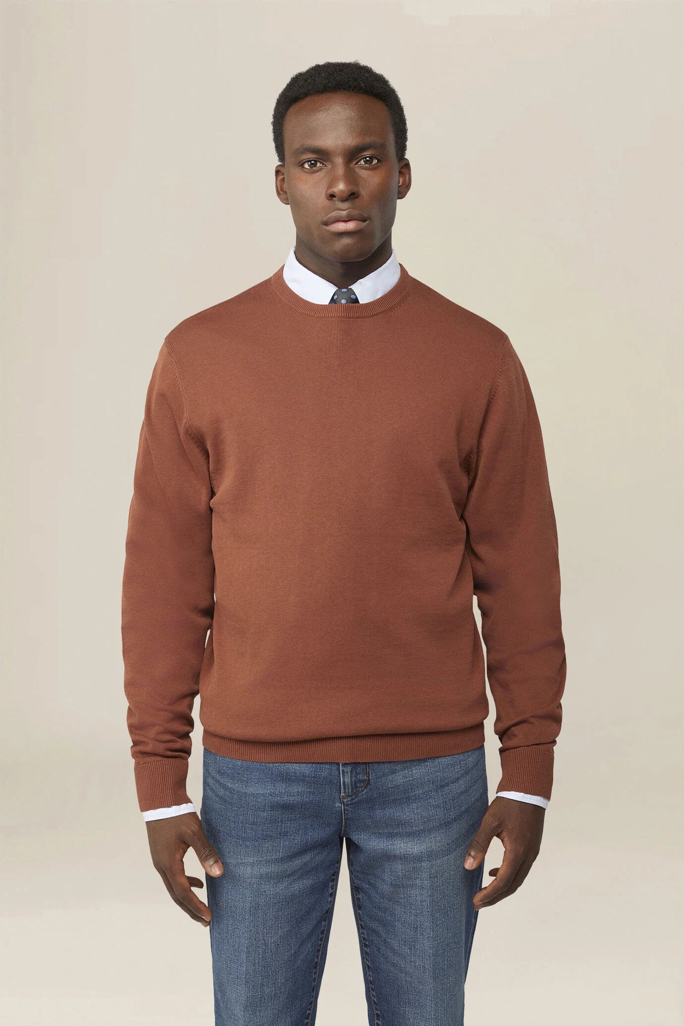 Men's crew neck jumper in 100% cotton