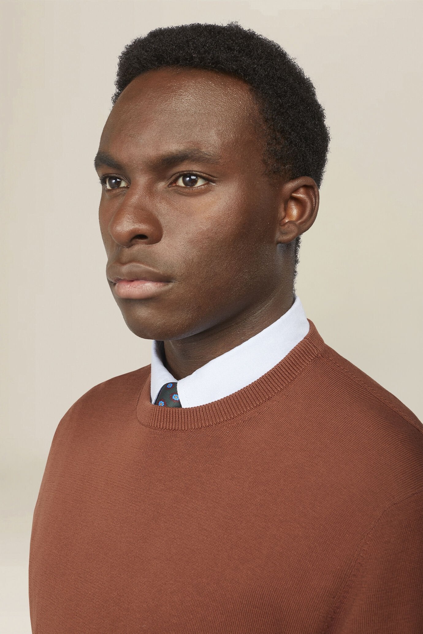 Men's crew neck jumper in 100% cotton