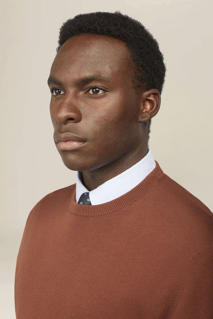 Men's crew neck jumper in 100% cotton