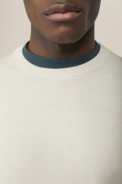 Men's crew neck jumper in 100% cotton