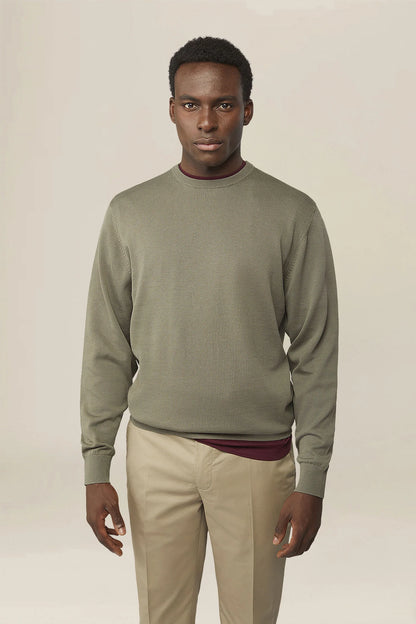 Men's crew neck jumper in 100% cotton