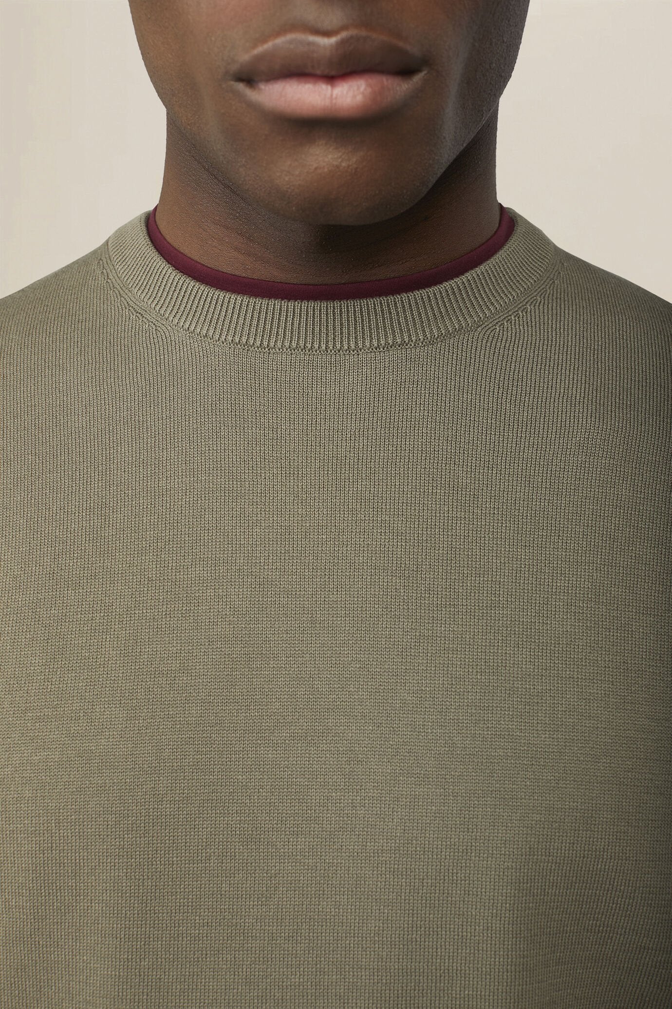 Men's crew neck jumper in 100% cotton
