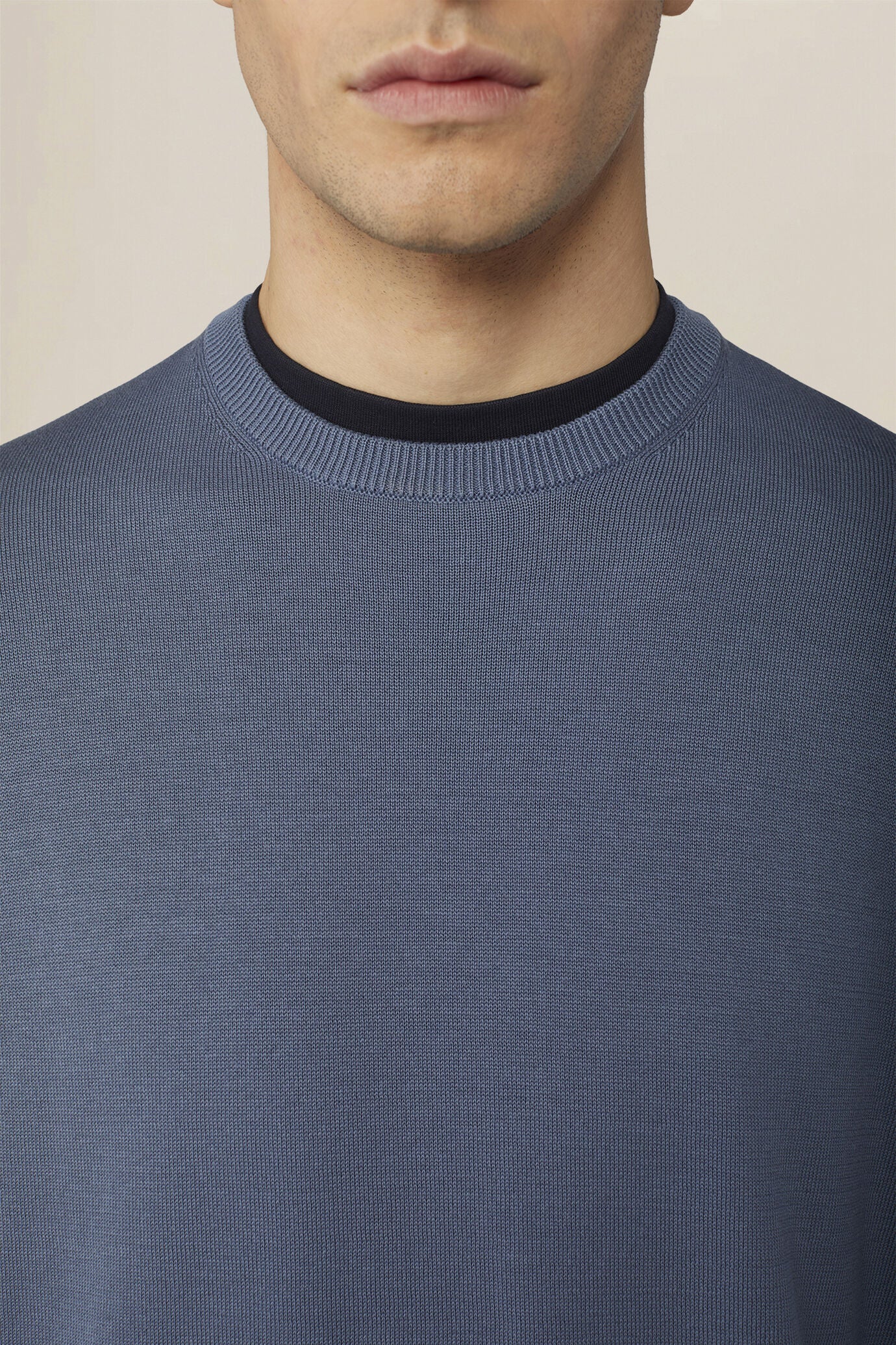 Men's crew neck jumper in 100% cotton