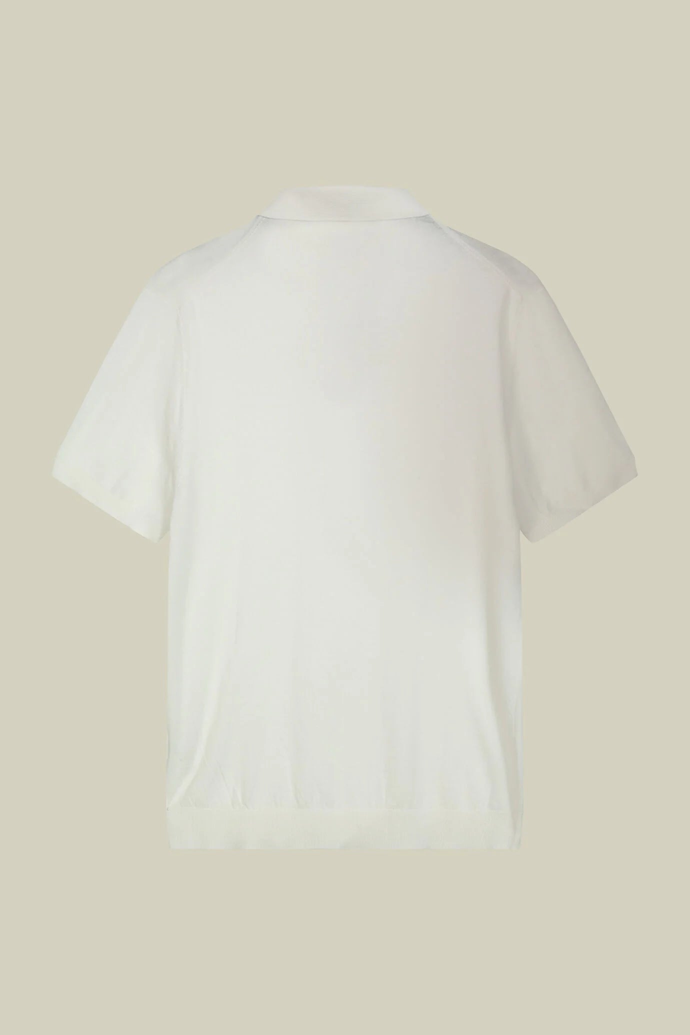 Men's regular fit 100% cotton knitted polo shirt